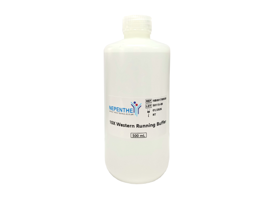 western running buffer, 10x